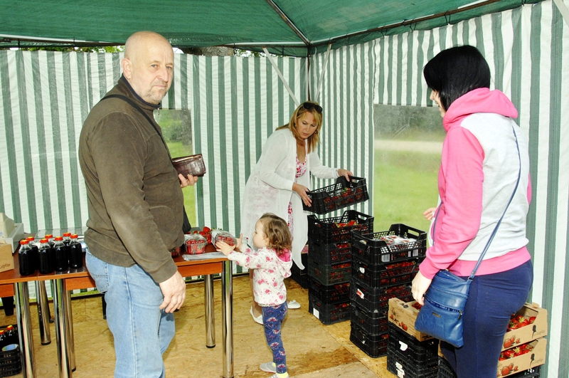 Pirmās «Lepšu» zemenes pie saimnieces Daigas Upenieces steidz iegādāties Ilze Riba, viņas tētis Jānis Jēkabsons un meitiņa Samanta.
Autors: Ivars Bogdanovs