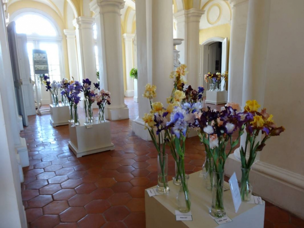 Autors: Publicitātes foto.