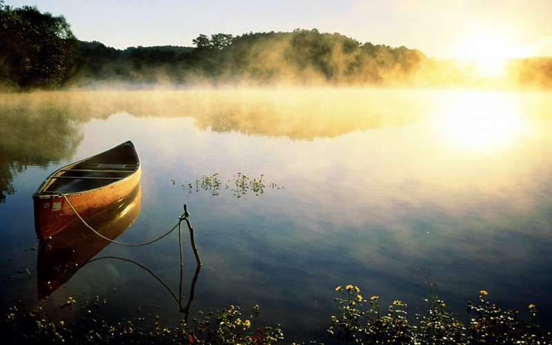 Rīts. Neziņa...
Autors: no wookmark.com. 