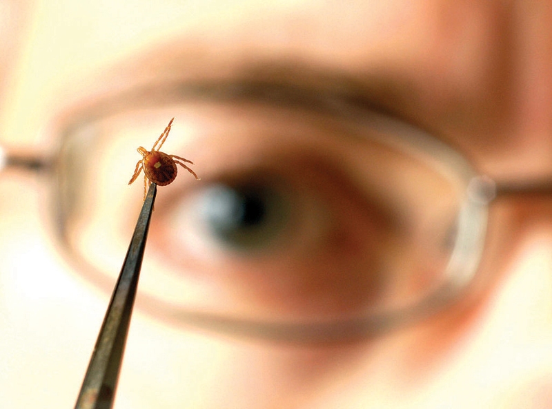 Autors: no collective-evolution.com