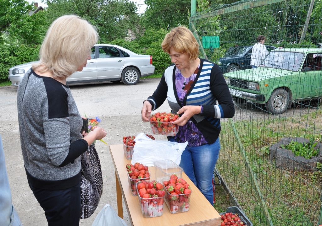 Monika Balcere tirgoja pašas dārzā izaudzētas zemenes.
Autors: Žanna Zālīte