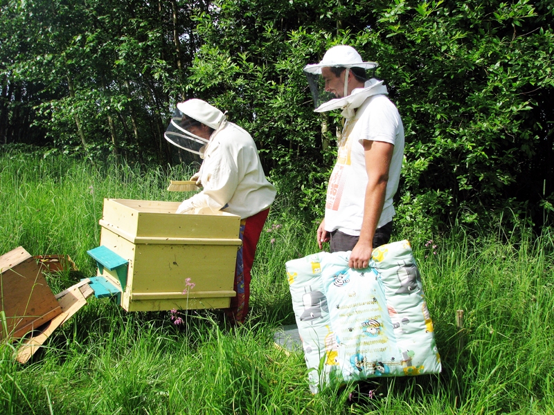 Biškopji Sandra Auzāne un Edgars Tauriņš sagatavo stropu jaunās saimes izvietošanai. 
Autors: Vilnis Auzāns