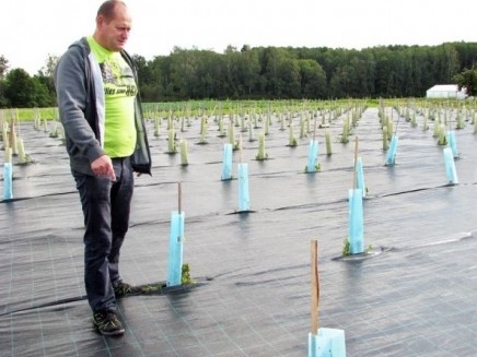 Ceraukstes pagasta vīnogu šķirņu kolekcionārs Gatis Kužums atklās vīnogu audzēšanas nianses Latvijā, stādu un ogu pārdošanu un pārstrādi.
Autors: No arhīva.