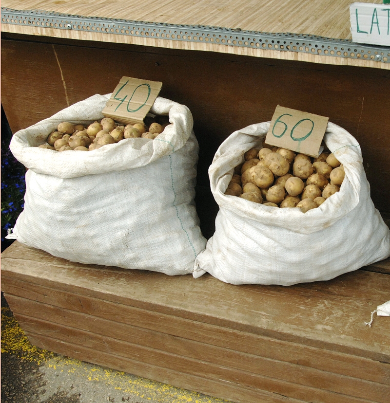 Bauzes tirgū Bauskā nopērkami vietējo zemnieku audzētie kartupeļi.
Autors: Ivars Bogdanovs