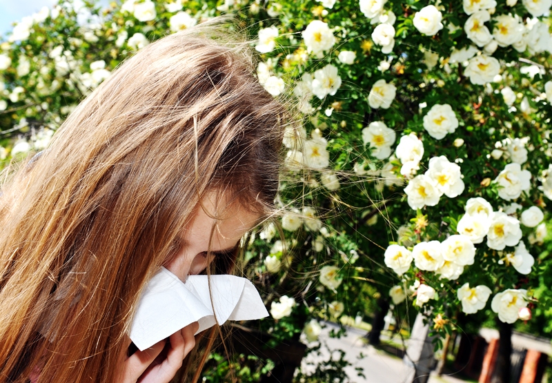 «Bērniem visbiežāk ir pārtikas alerģijas. Tad viņi aug lielāki, vairāk sadraudzējas ar pārtiku, un alerģija nomaina savu veidolu – sākam just ziedputekšņus, pelējumu, mājas putekļus,» stāsta alergoloģe Dace Kārkliņa. 
Autors: Raitis Puriņš