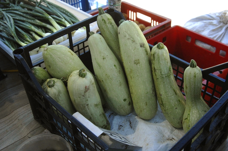 Bauzes tirgū kabači svētdien maksāja dažādi, cenu amplitūda no 0,60 līdz 1,50 eiro par kilogramu.
Autors: Ivars Bogdanovs