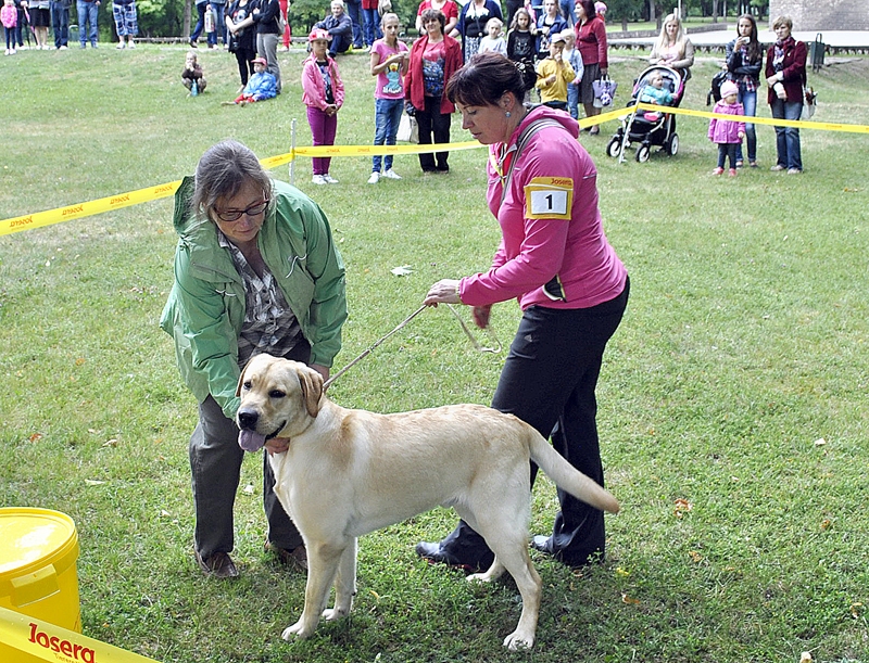 Autors: Māris Krūmiņš