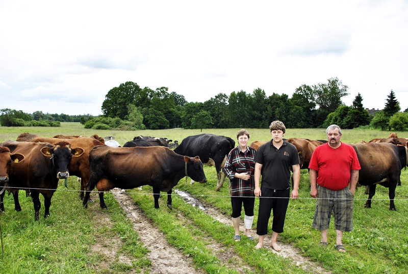 Jermaku ģimene – Ivars (no labās), dēls Arnis un Anda apkopj teju pussimtu slaucamu govju, to vidū viena var lepoties ar vārdu Māksla, kas no laukiem ir patālu.
Autors: Māris Krūmiņš