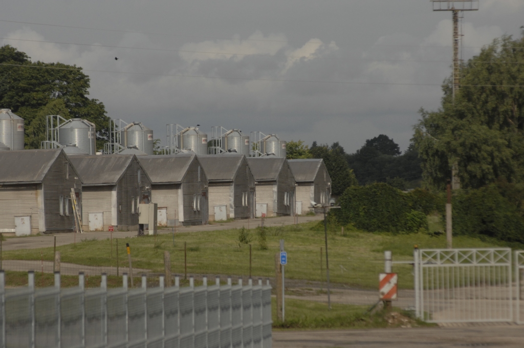 Autors: Ivars Bogdanovs