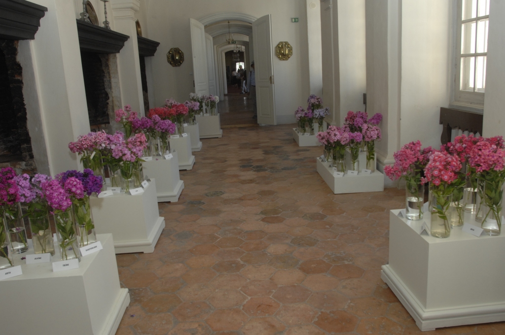 Autors: Ivars Bogdanovs