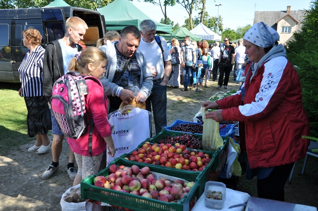 Aluksniesiem.lv raksta attēla aizvietotājs