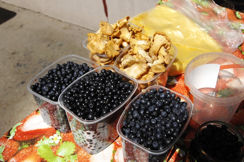 Pilnu grozu gaileņu šogad sēņu vietu nezinātāji no meža neatnesīs.
Autors: Ivars Bogdanovs