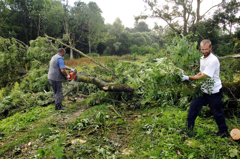 Vētras lauztos kokus zāģē Jānis Kukutis (no kreisās) un Raimonds Rosnis.
Autors: Ivars Bogdanovs
