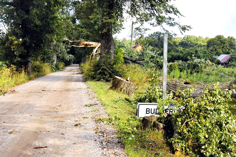 Virpuļviesulis, kas trešdienas, 12. augusta, vakarā plosījās Bauskas novadā, visvairāk postījumu nodarījis Budbergā.
Autors: Ivars Bogdanovs