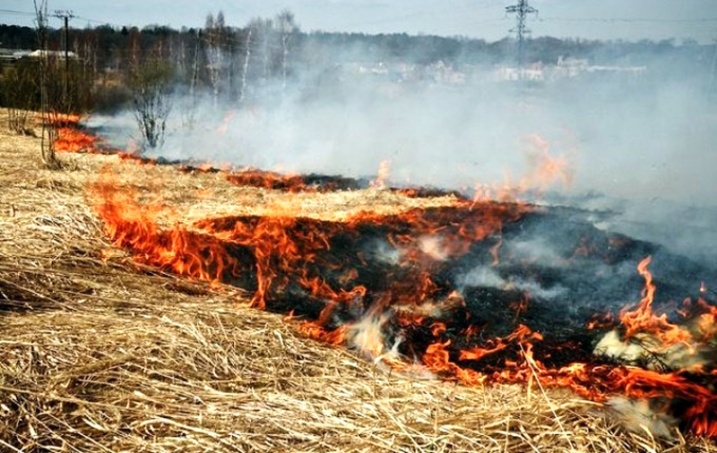 Autors: no «Bauskas Dzīves» arhīva.