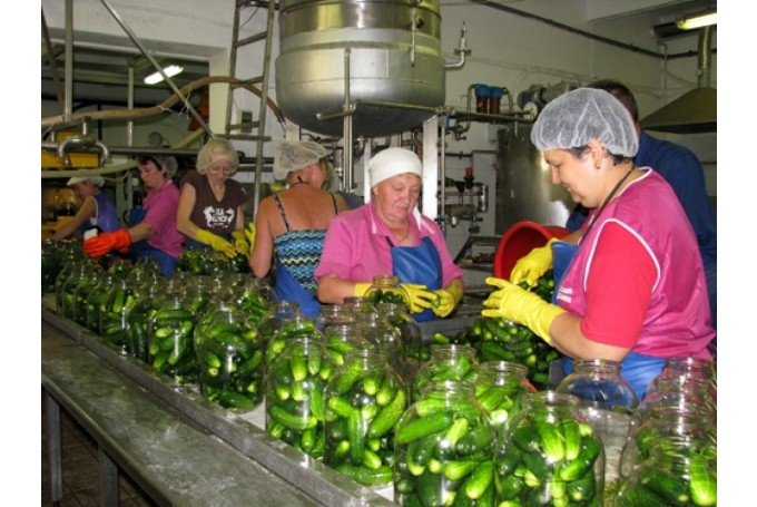 SIA ''Kronis'' ražotnē Codes pagastā.
Autors: no ''Bauskas Dzīves'' arhīva