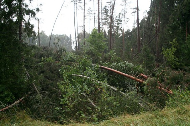 Attēlam ir ilustratīva nozīme.