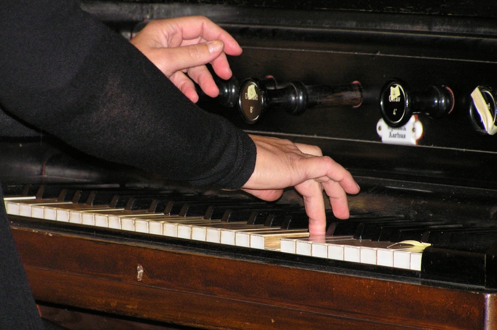  Iecavas baznīcā ērģeles bijušas kopš 1633. gada, 1811. gadā meistari Kristins un Šulcs būvējuši jaunas lielas  ērģeles ar daudz stabulēm, kuras  cietušas I pasaules kara laikā.
Ap 1928. gadu ērģeles atjanojis Herberts Kolbe. Šīs ērģeles skanējušas  līdz pat 1972. gadam, kad ugunsgrēks izpostījis baznīcu, ērģeles atstājot veselas. Instrumentu izpostījuši vandāļi.
1998. gadā draudze No Olgodas draudzes saņem dāvinājumā  meistara Frederika Nilsena 1896. gadā būvētas mehāniskās ērģeles ar 500 stabulēm, 7 reģistriem, manuāli un pedāli. 

Autors: lelb