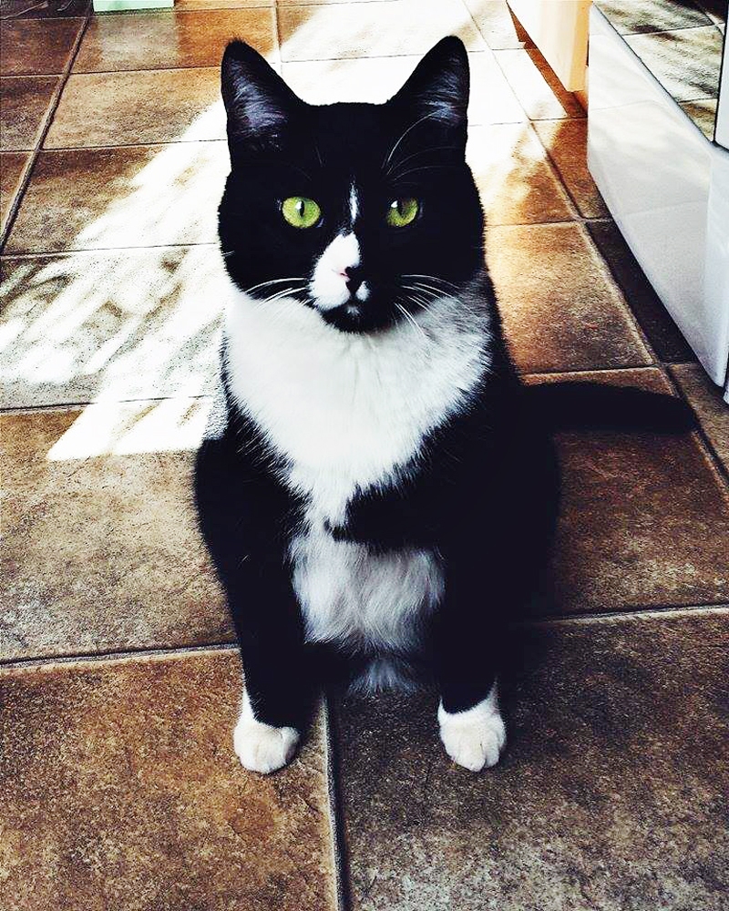 Gabrielam, tāpat kā mammai, viena purniņa puse ir melna, otra – balta.
Autors: no personiskā albuma.