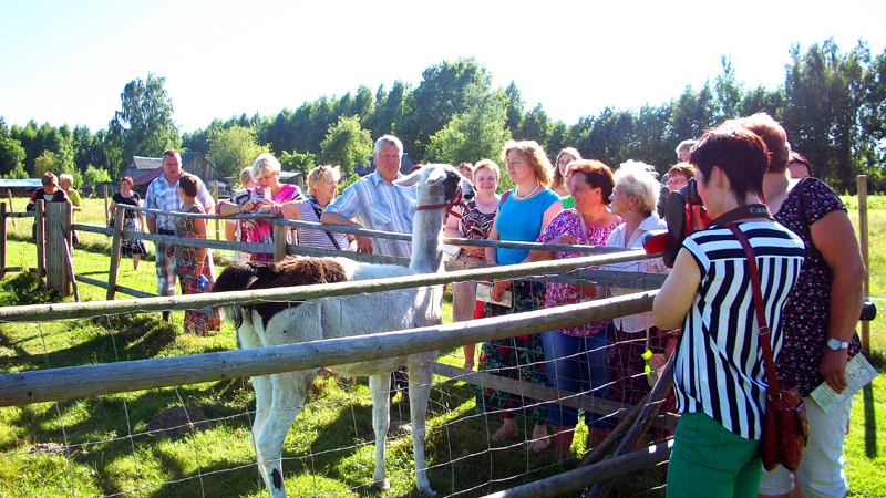 «Dobuļos» rucaviešus sagaidīja arī eksotiski dzīvnieki.
Autors: no biedrību albuma.