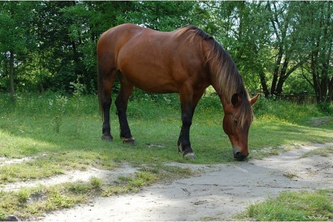 Fotoattēlam ilustratīva nozīme.