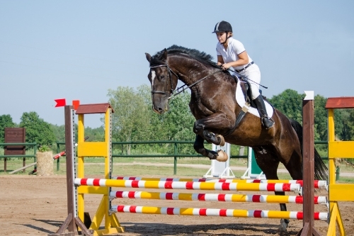 Autors: iecavafoto.lv