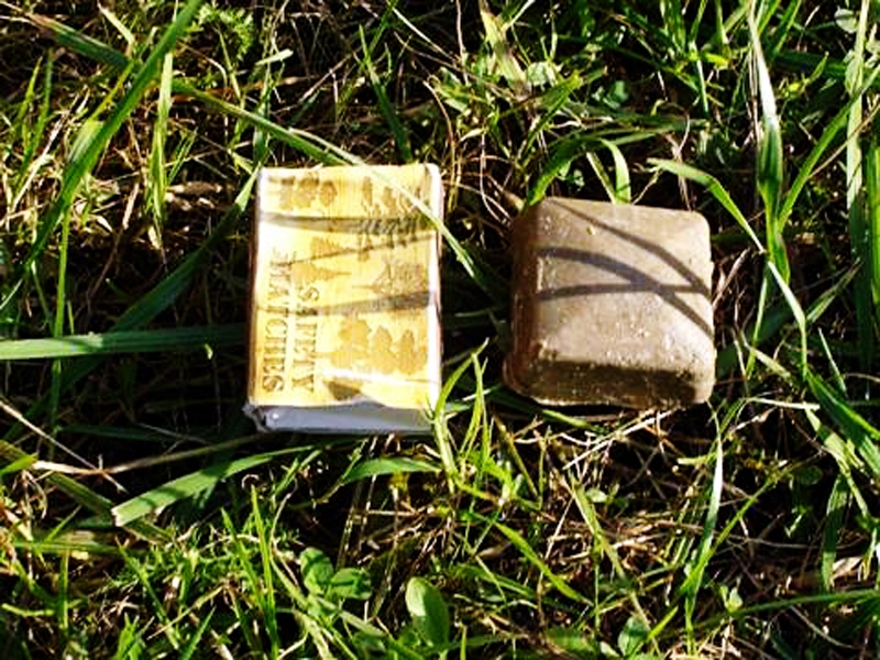 Vakcīna ir brūngans kubiņš, mazāks par sērkociņu kastīti.
Autors: no talsi.lv.