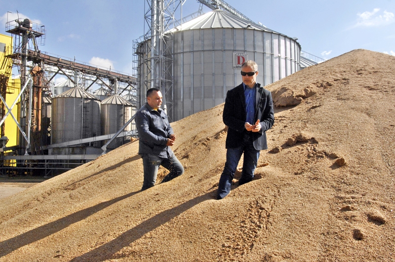 «Latrapa» speciālisti Edgars Ruža (no labās) un Jānis Vaivars rāda, ka graudi kaudzē ir sausi – ejot ar basām kājām, tie zem cilvēka grimst.
Autors: Ivars Bogdanovs