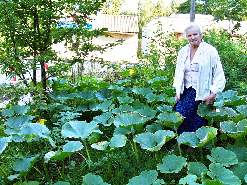 Olga Bormane zālienā pie daudzdzīvokļu mājas pamanās izaudzēt ķirbjus, ēnainā puķu dobē lolojot krāšņi ziedošus kartupeļus un smaržīgo tabaku.
Autors: Antra Ērgle