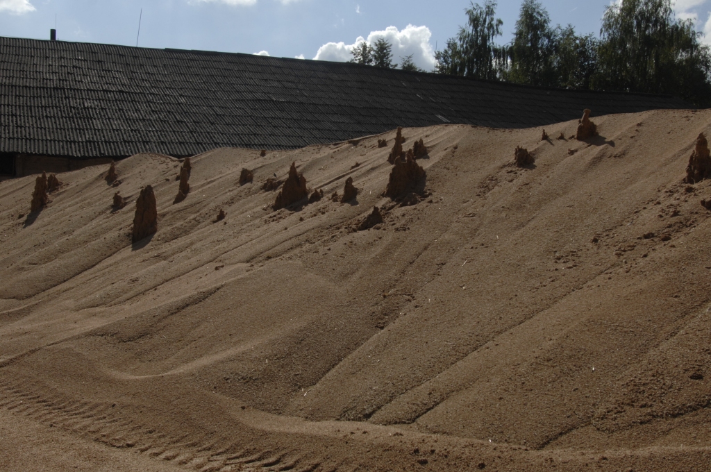 Autors: Ivars Bogdanovs