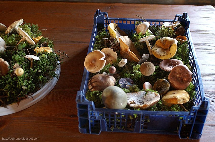 Fotoattēlam ilustratīva nozīme.