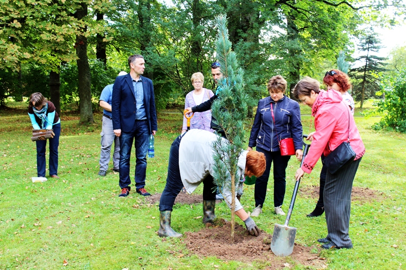 Vietējie entuziasti kokus Iecavas parkā gan pētīja, gan stādīja speciālista Gvido Leiburga (no kreisās) vadībā.
Autors: no biedrības «RaDam» albuma