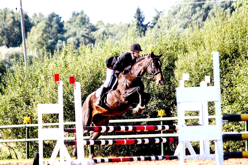 Liena Sproģe ar zirgu «Reality» uzvarēja piektā maršruta sacīkstēs. 
Autors: Vladislavs Rutkovskis