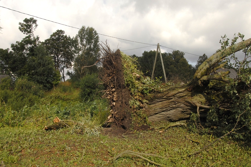 13. augustā Brunavas pagasta vienā daļā, galvenokārt Budbergā, plosījās stipra vētra. Tika izgāzti vairāki desmiti koku, kas steidzami bija jānovāc gan no ceļiem, gan kapsētās.
Autors: Ivars Bogdanovs