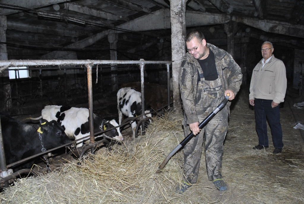 Vecumnieku novada «Liepās» Agris (no labās) un Māris Veides plašajā kūtī vēl apkopj no piena ganāmpulka atlikušās teles, bet drīz telpas pārkārtos gaļas liellopiem.

Autors: Ivars Bogdanovs