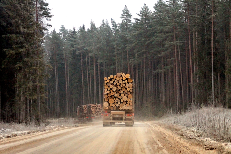 Zemgales plānošanas reģionā kopā ar pašvaldībām un Satiksmes ministriju paredzēts veicināt pašvaldības ceļu un ielu, kā arī tiltu rekonstrukciju.
Autors: Uldis Varnevičs
