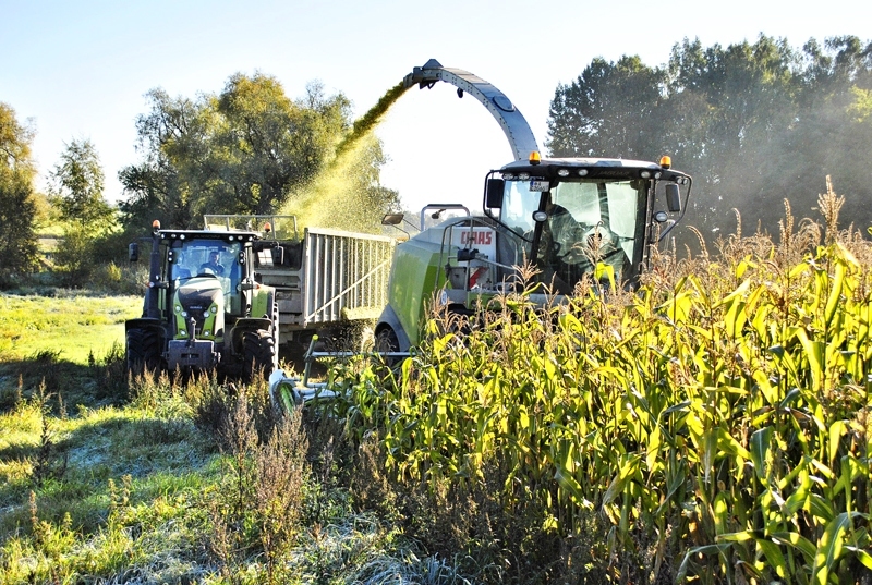 Autors: Ivars Bogdanovs