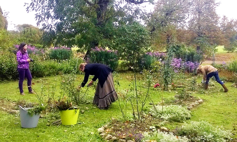 Talcinieki sagrāba nokritušās koku lapas, novāca apsalušos ziedus dobēs un garšaugus dārzā, apsedza rozes.
Autors: no «Billīšu» albuma
