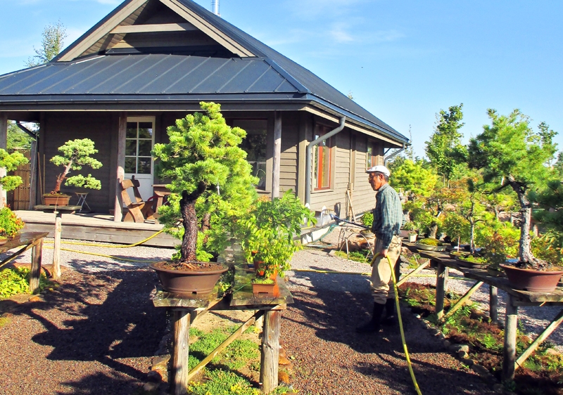 Japāņu dārzs Lietuvā.
Autors: no personiskā albuma