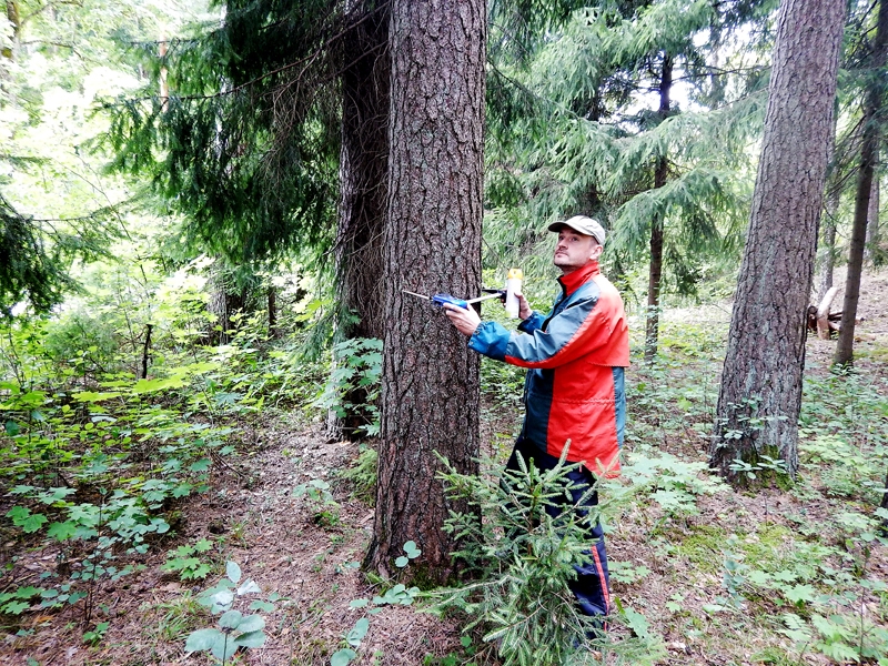 Jānis Folkmanis ikdienas darbā pārliecinājies, ka mazākiem īpašniekiem kooperācija ir iespēja labāk apsaimniekot savu mežu.
Autors: no personiskā albuma.