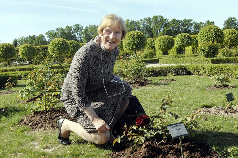 Lauma Lancmane, Rundāles pils muzeja Pils ansambļa nodaļas vadītāja, vienā no saviem lolojumiem – pils rožu dārzā. 
Autors: Ivars Bogdanovs