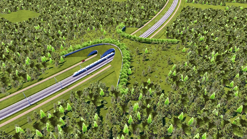 Līnijai «Rail Baltica» Latvijā pirmo reizi taps speciālas dzīvnieku pārejas – vairāku metru platas būves, kurās augs koki, zāle. Tās būvēs, maksimāli pielāgojot dabiskajai meža videi. 
Autors: vizualizācijas no «RB Latvija» materiāliem