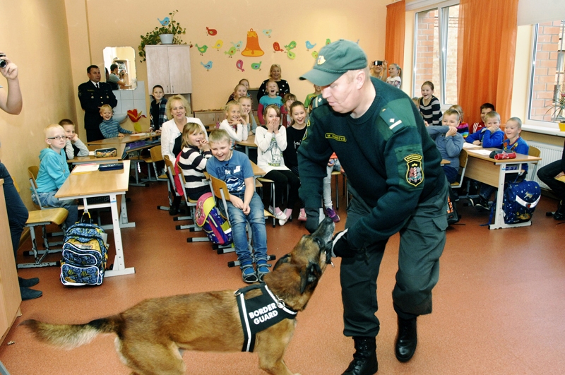 Mihails Kļusovs par labi paveiktu darbu Čoko «apbalvo» ar rotaļlietu. Kinologs apgalvoja, ka mīts par narkotisko vielu piejaukšanu suņa barībai, lai tas atpazītu narkotikas, neatbilst patiesībai. 
Autors: Ivars Bogdanovs