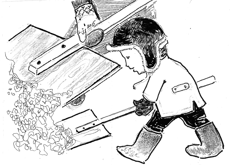 «LOKI KOKU, KAMĒR VĒL MAZS!» FAKTS: Bauskas novada domes saistošajos noteikumos ierakstīts, ka pusaudžiem vecumā līdz 16 gadiem uzturēties ārpus mājas bez uzraudzības atļauts tikai līdz pulksten 22, informē Bauskas novada pašvaldības sabiedrisko attiecību speciāliste Andra Matuļenko.
Zini, kas ir pusaudzis? Cilvēciņš, vēl nepieaudzis,/ Trauks, kas atvērts visam labam, piepildāms, līdz pāri malām./ Bet, ja tukšums ilgi turas, izdarības acīs duras./ To, kas ceļā, žigli posta, vielas reibinošas osta./ Rudeņos, kad agra tumsa, tīkama šķiet vieta klusa./ Bet, ja pusaudžu tur bari, turi maku ciet, cik vari!/ Miķelim ir padoms vietā, kā jebkurā citā lietā./ Izbeigtu lai šito joku, jāņem zaļknābji pie rokas./ Sporta zālēs tādi zeļļi tā kā motorzāģim eļļa./ Neraizējies, esi drošs, vecums šis ir pārejošs!
Autors: Zīmējums – Laimonis Šulcs, rīmes – Daina Ziemele