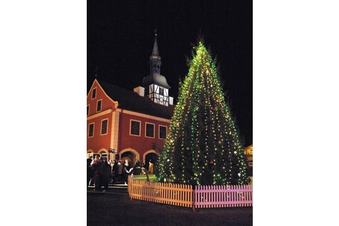 Autors: no «Bauskas Dzīves» arhīva