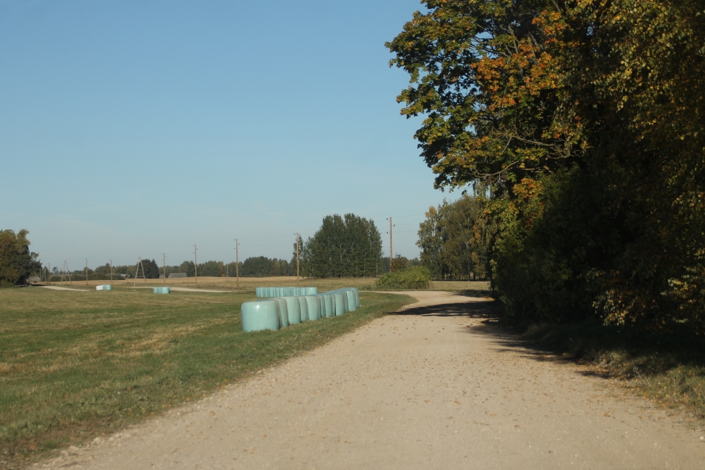 Viens no iespējamajiem remontējamajiem posmiem ļautu ātrāk aizbraukt no Valles uz Stelpi. 