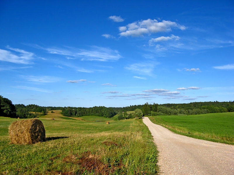 Attēlam ir ilustratīva nozīme.