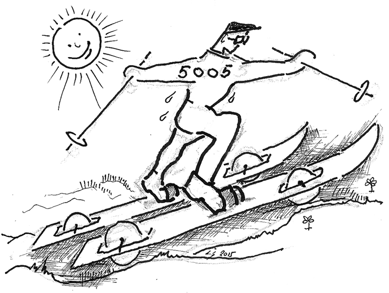 Autors: Laimonis Šulcs