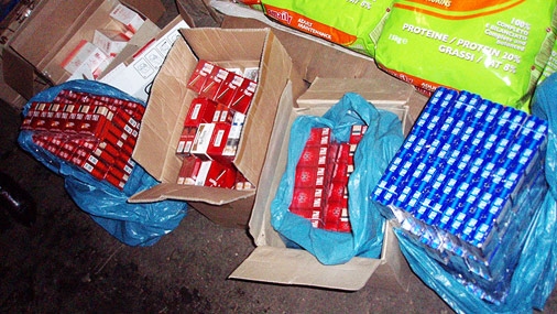 Attēlam ir ilustratīva nozīme.