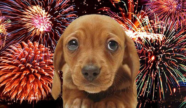 Autors: no taksis.lv